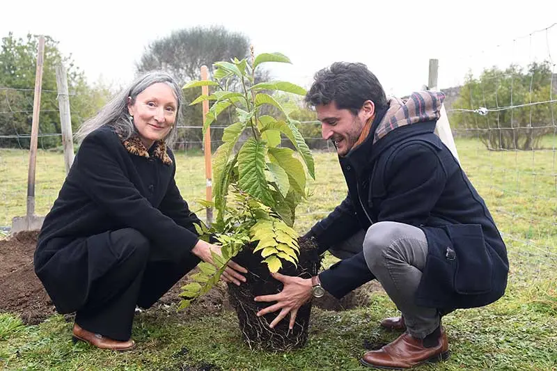 Photo de la mise en terre d'une plante avec Cathie Barreau et Emmanuel Ruben